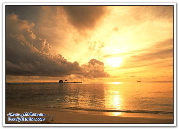 صور منوعة 91