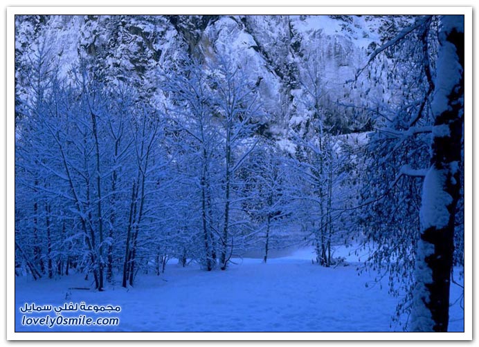 صور منوعة 91