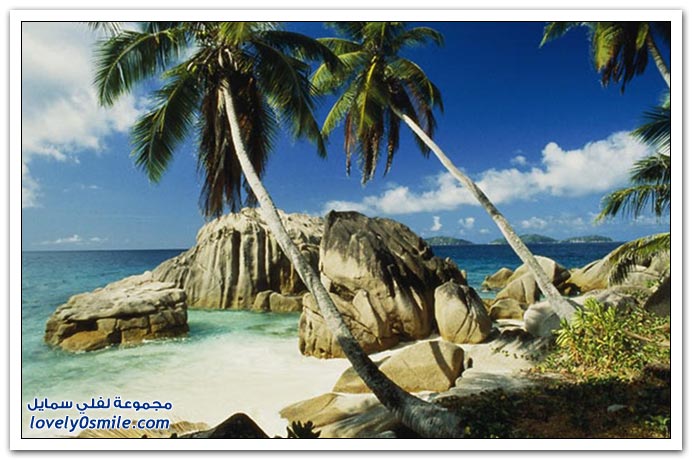 صور منوعة 91