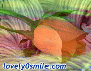 وسائط عيد الأضحى 2
