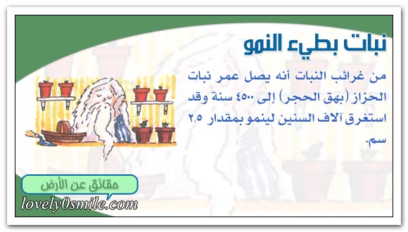 القطبان