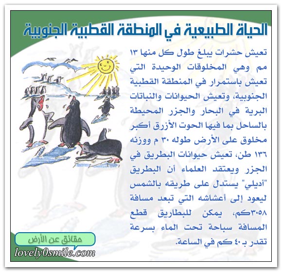 القطبان