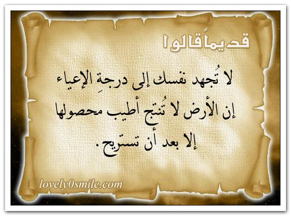 qq-091.jpg