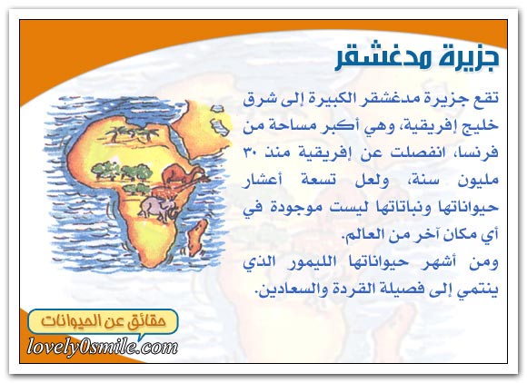 حيوانات العالم البعيد - حقائق عن الحيوانات