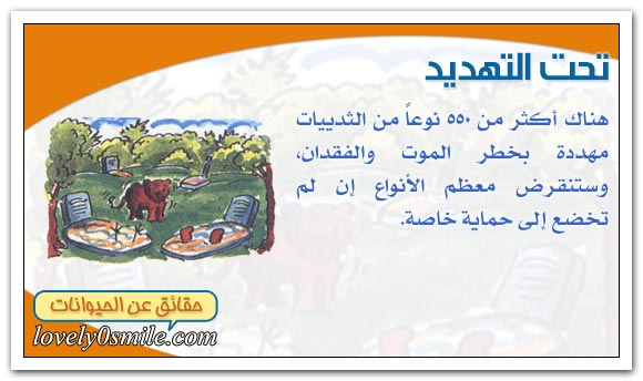 الثدييات في خطر