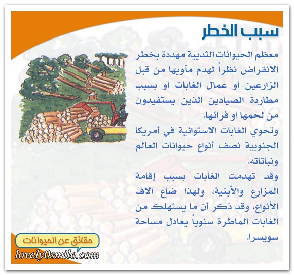 الثدييات في خطر