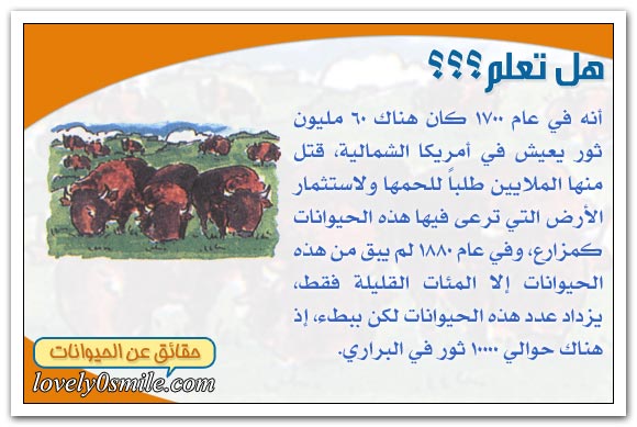 الثدييات في خطر