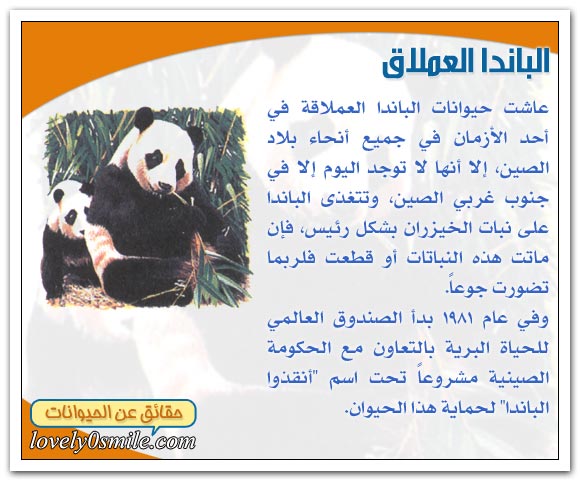 الثدييات في خطر