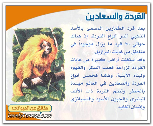 الثدييات في خطر