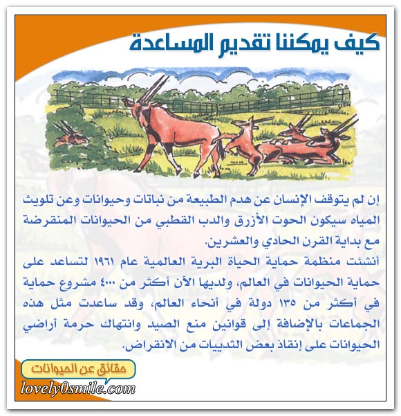 الثدييات في خطر