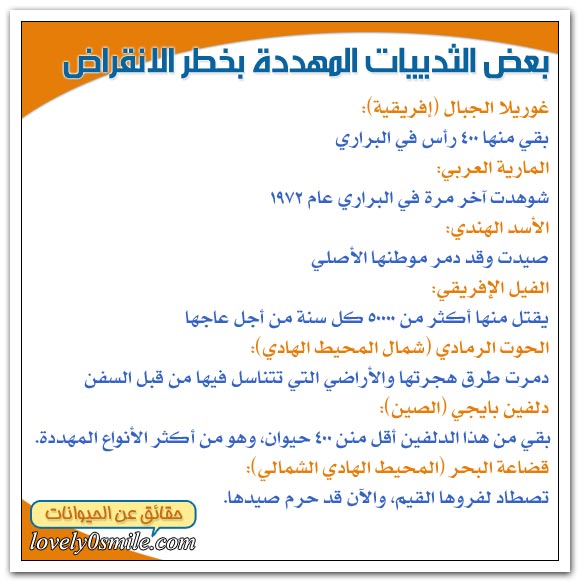 الثدييات في خطر