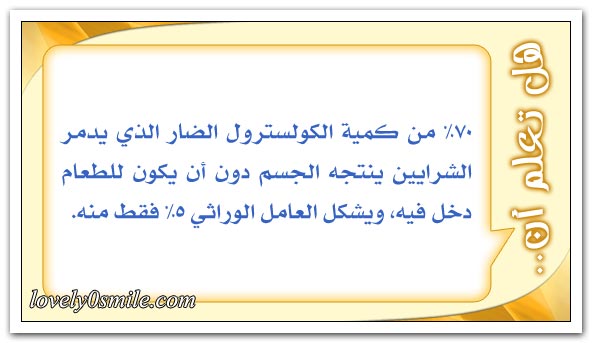 أول مؤتمر عربي لتكنولوجيا المعلومات + دراكولا النمل