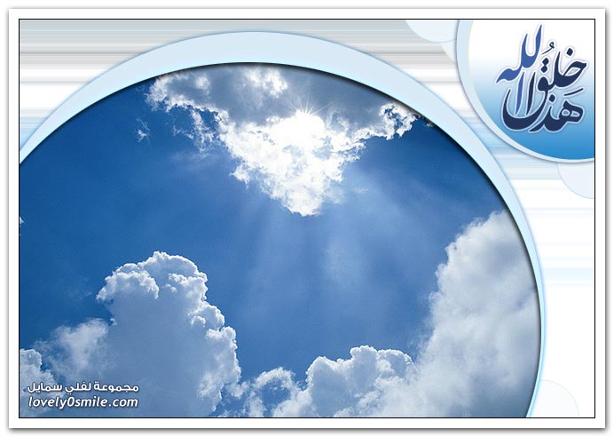 هذا خلق الله 24 - صور