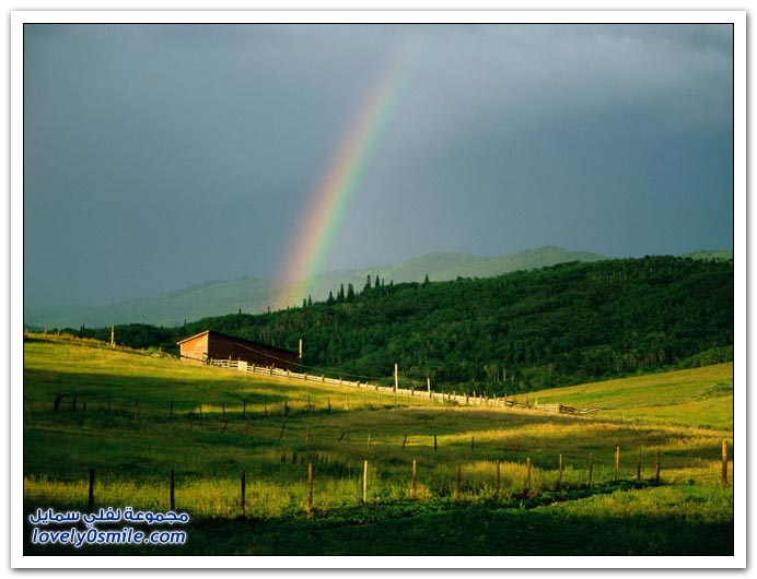 صور منوعة 119