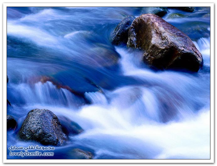 صور منوعة 119