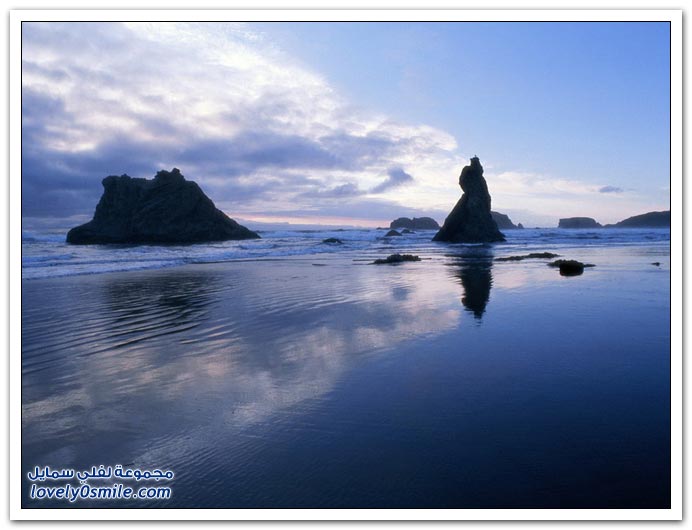 صور منوعة 119