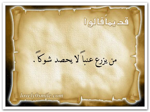 من يزرع عنبا لا يحصد شوكا