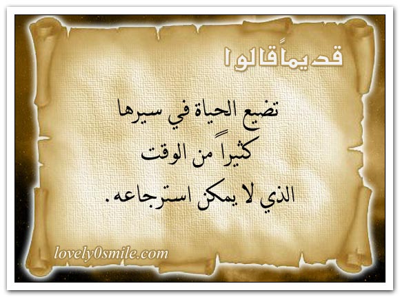 من يزرع عنبا لا يحصد شوكا