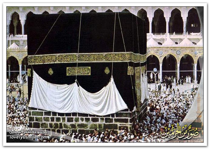 صور من الحرمين 9