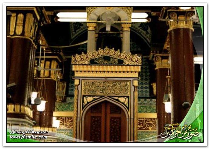 صور من الحرمين 9