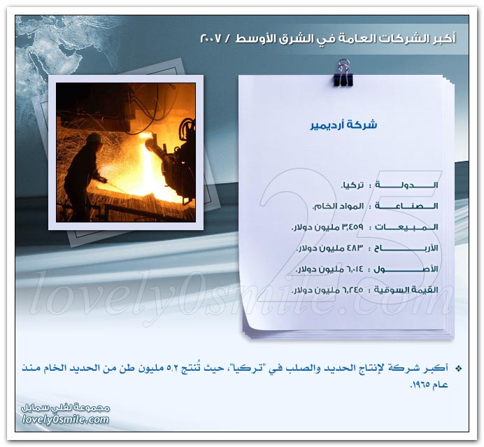 أكبر الشركات العامة في الشرق الأوسط 2007 ج2