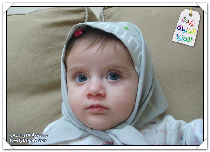 صور - زينة الحياة الدنيا 10