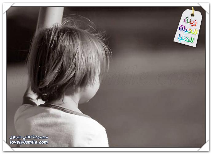 صور - زينة الحياة الدنيا 18