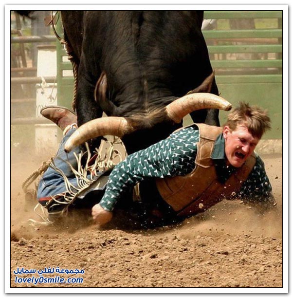 صور مسابقات رعاة البقر