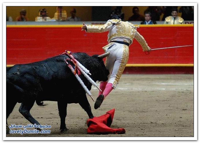 صور مصارعة الثيران في أسبانيا