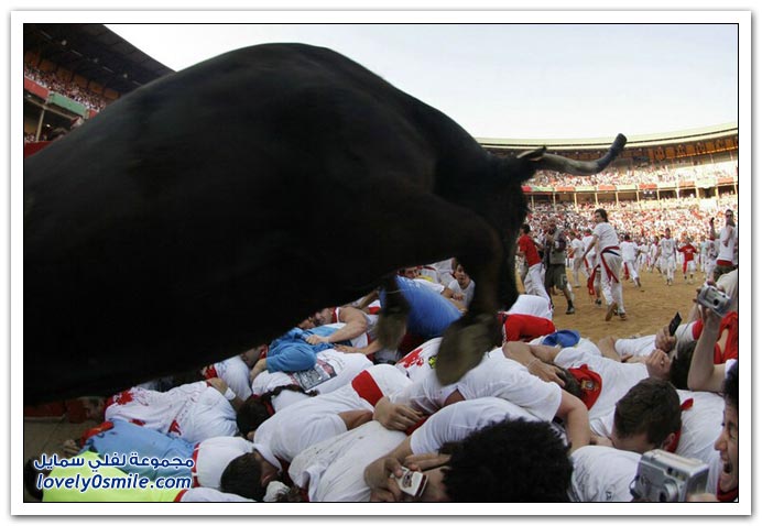 صور مصارعة الثيران في أسبانيا