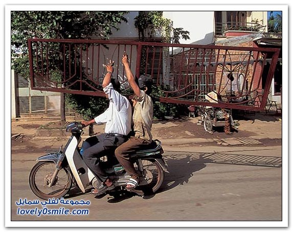 صور أشكال النقل على الدباب