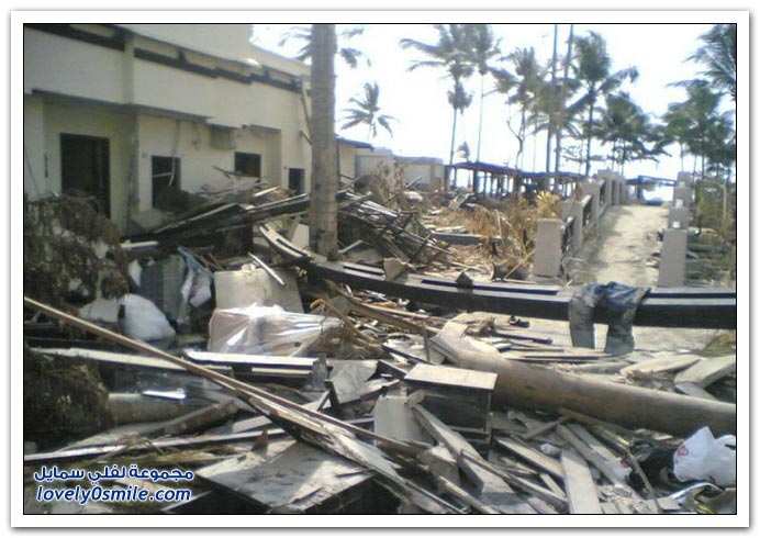   Before-and-after-tsunami-27.jpg