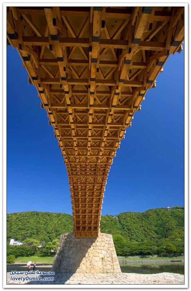 صور من الجسور حول العالم