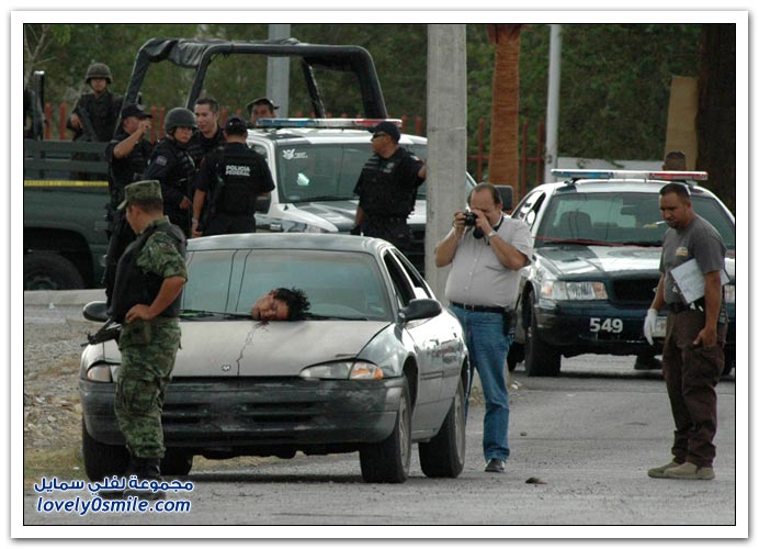 صور: التقرير العالمي للأمم المتحدة عن المخدرات 2009