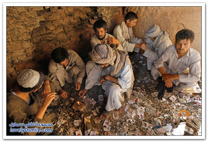 صور: التقرير العالمي للأمم المتحدة عن المخدرات 2009