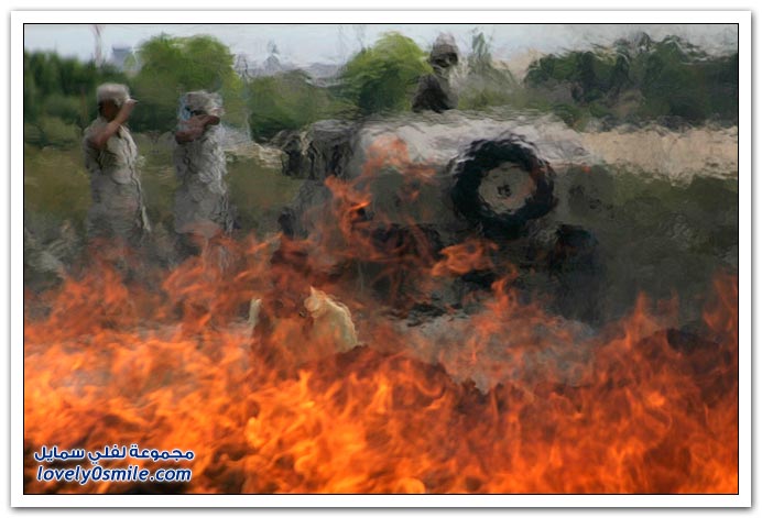 صور: التقرير العالمي للأمم المتحدة عن المخدرات 2009