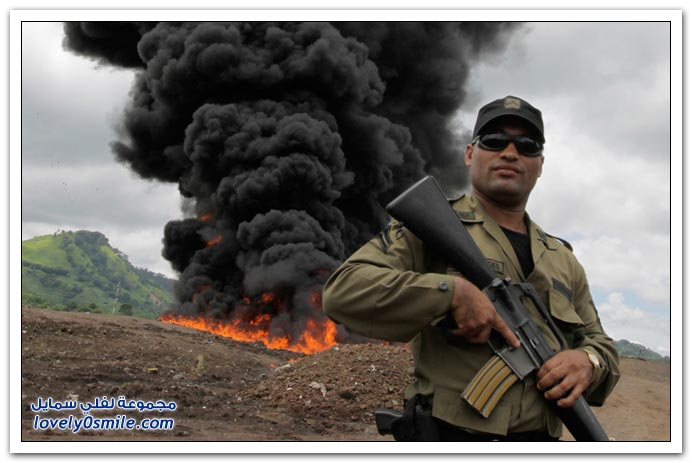 صور: التقرير العالمي للأمم المتحدة عن المخدرات 2009