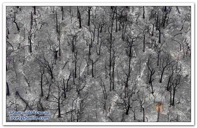 صور حرائق الغابات في أستراليا
