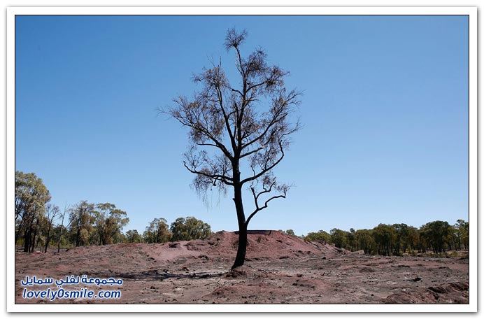 صور حرائق الغابات في أستراليا