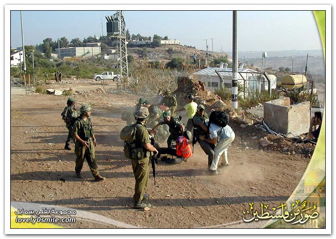 صور من فلسطين 7