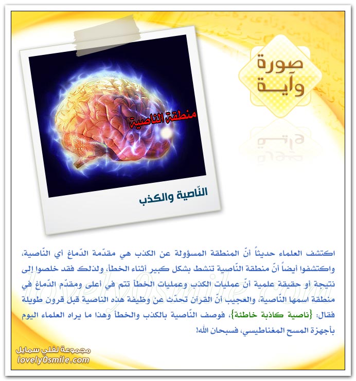 الناصية والكذب + شهاب ثاقب