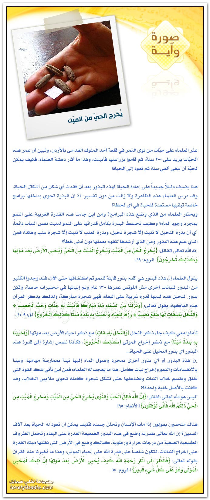 أمواج تحت المحيط + يخرج الحيّ من الميّت