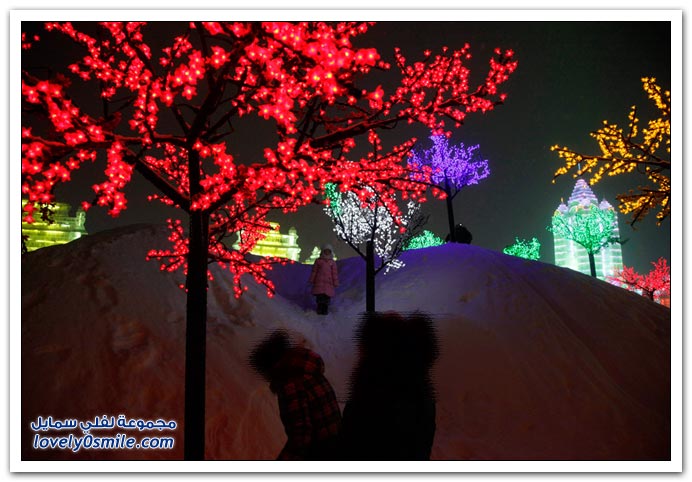 صور مهرجان نحت الجليد والثلوج في مدينة هاربين في الصين