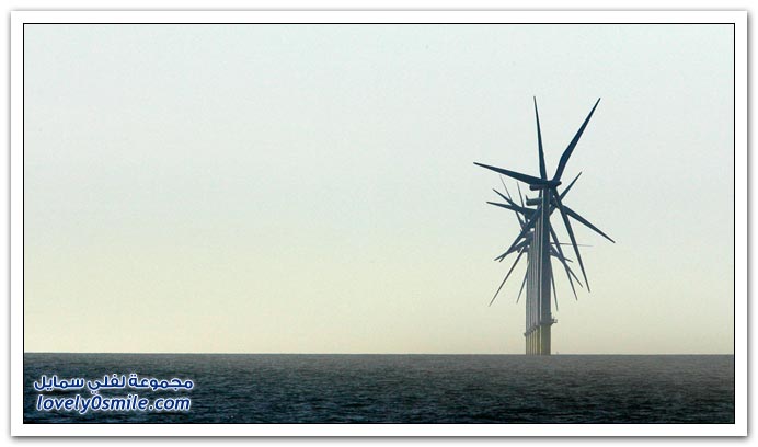 صور اليوم العالمي للأرض 2010