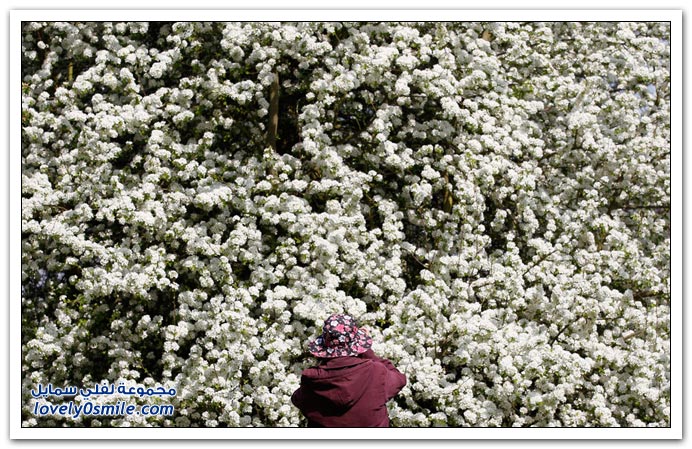 صور اليوم العالمي للأرض 2010