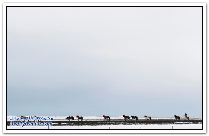 صور اليوم العالمي للأرض 2010