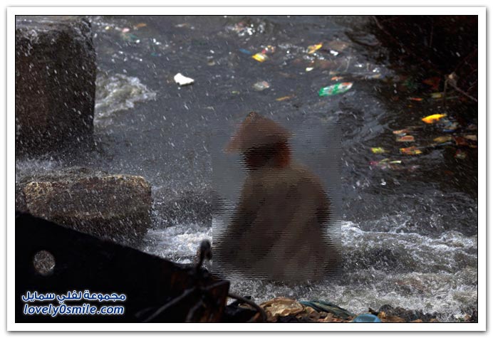 صور اليوم العالمي للأرض 2010