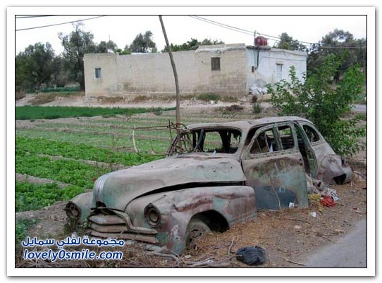 صورة