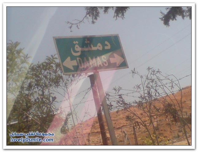 صورة