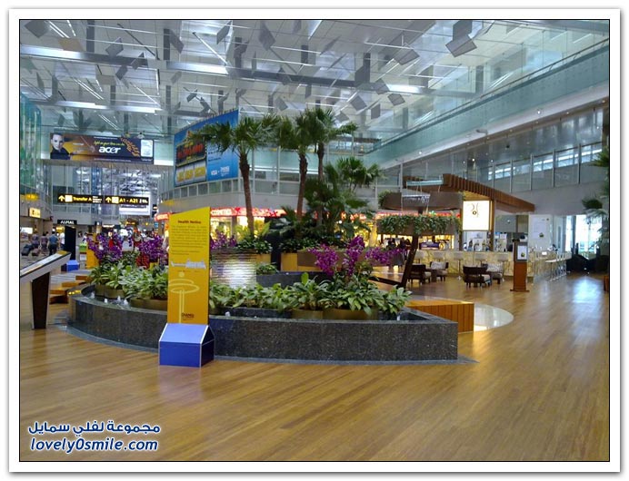 صور من مطار سنغافورة